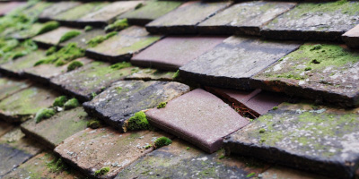 Shottesbrooke roof repair costs